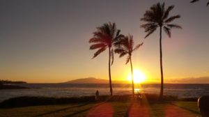 sunset 1